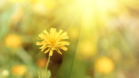 Stookolie bezuinigen
