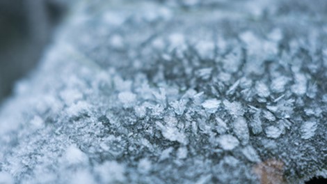 Bescherming mazout tegen koude