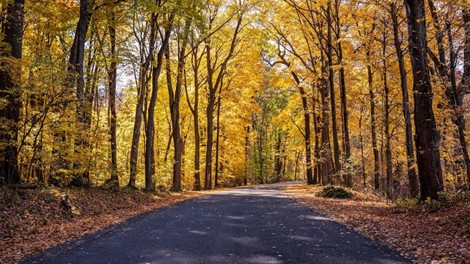 L’automne, période chargée pour les livreurs de mazout