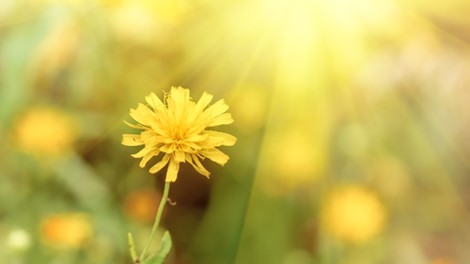 Le meilleur moment pour effectuer un achat de mazout